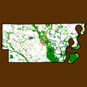 Lee County Land Use