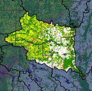 Watershed Land Use Map - Lower White-Bayou Des Arc
