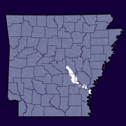 State-Level Map - Lower Arkansas