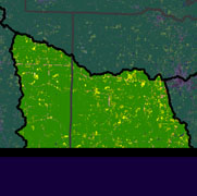 Watershed Land Use Map - Bayou D'Arbonne